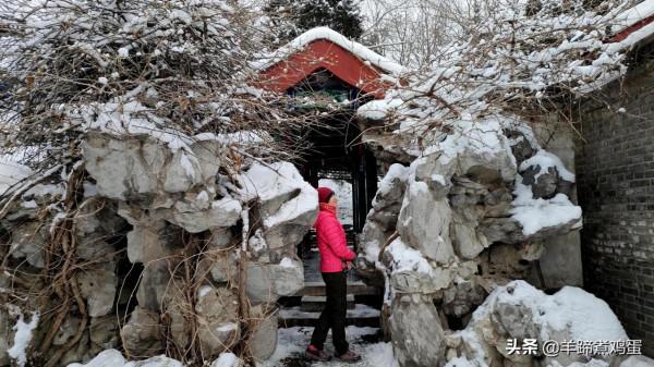 難覽觀園全畫景 雪覆臘梅一隅香&mdash;&mdash;踏雪尋遊北京大觀園