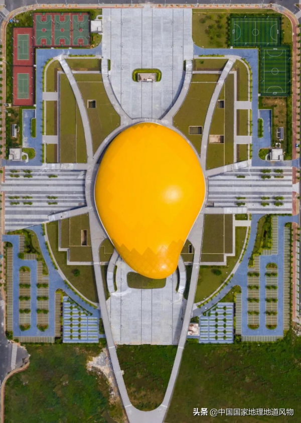 557億斤！5個第一！3個第二！水果大省廣西，到底有多“豪”？