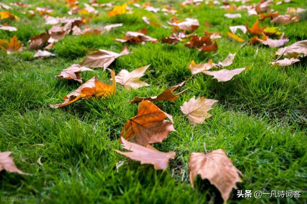 禪心悟語「163」繁華事盡言無盡，名利皆空善不空