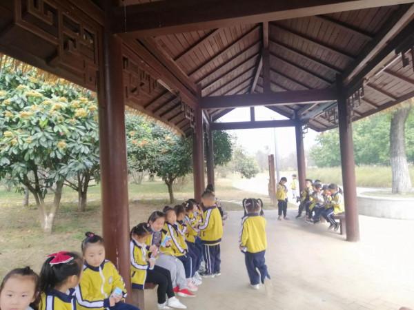 太和縣直幼兒園