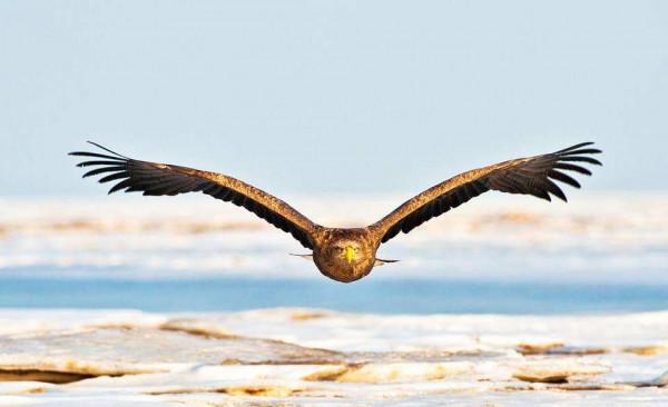 未入選《唐詩三百首》最著名的20首詩，其中有很多首你都能背下來