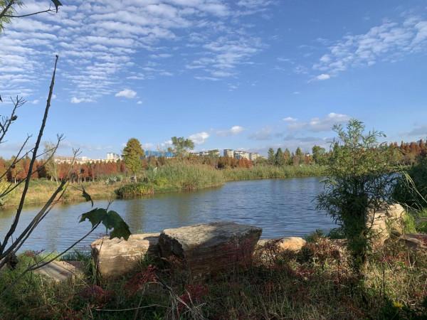 欣賞藍天白雲下的景色 欣賞藍天白雲下的景色