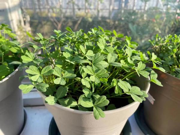 閒暇之餘，簡單，陽光，陪伴，成長......