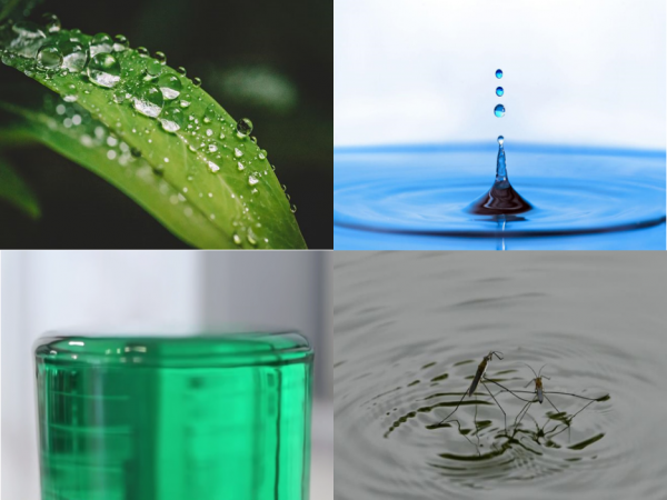 湯水裡的油滴一定是圓形的嗎？答案來了