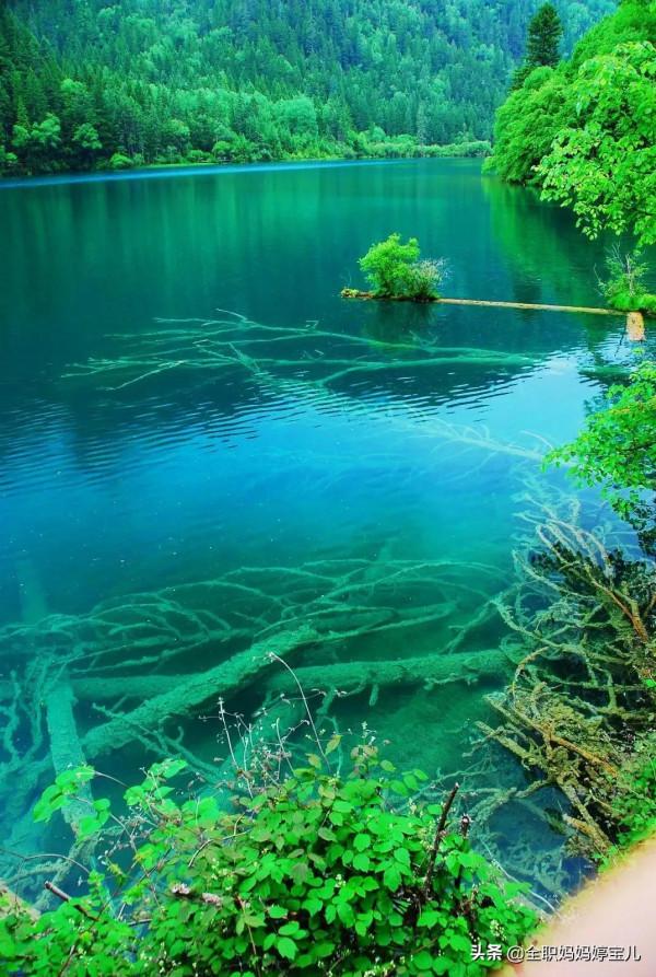 分享——令人迷幻的九寨溝