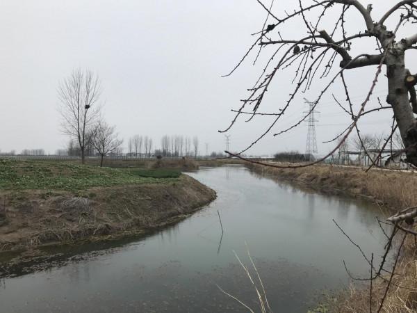 農場開工只請10人，數量是前幾年的一半，為什麼減少了這麼多？