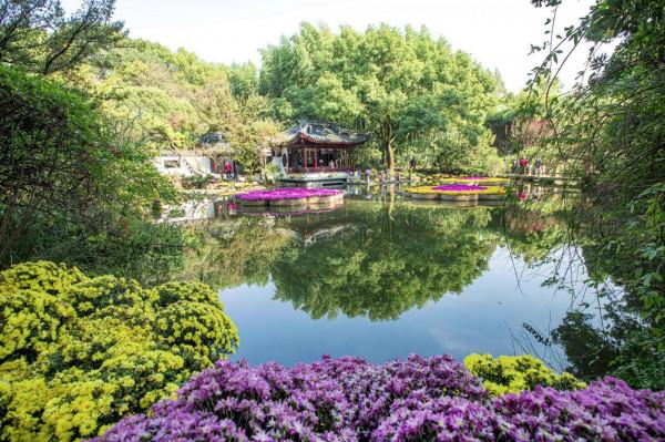 五彩斑斕！嘉定這裡美成這樣，還不快來