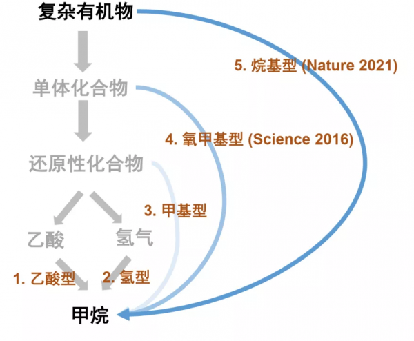科技資訊｜我國科學家找到控制魚刺的基因；美國首個新冠口服藥獲批