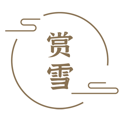 來了！美了三孔景區的初雪，靚了闕里古城的冬