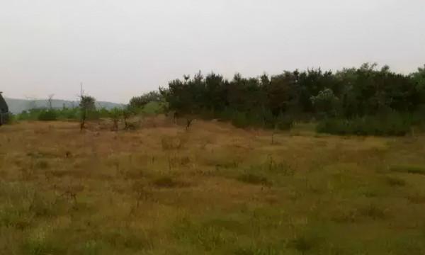 農村又一新規釋出,村幹部又要忙起來了,這幾類建築將會被拆除 農村又一新規釋出,村幹部又要忙起來了,這幾類建築將會被拆除