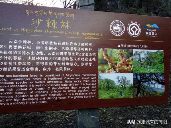 這條徒步線路太美了，這線路適合想去而沒有去過高原的人