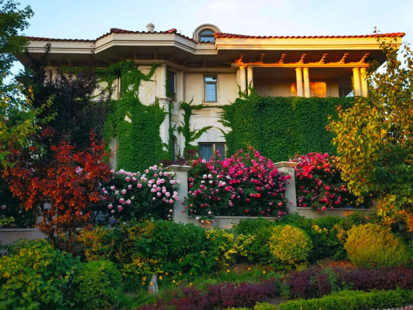 東北花友走遍歐洲著名花園,回國後建了座四季有花的北方花園 東北花友走遍歐洲著名花園,回國後建了座四季有花的北方花園