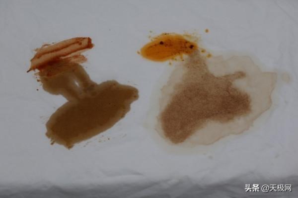 高階洗護需求一機滿足 惠而浦帝王H精英版洗烘一體機評測 高階洗護需求一機滿足 惠而浦帝王H精英版洗烘一體機評測