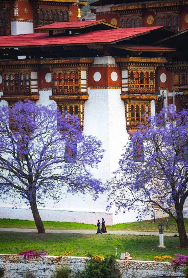 2022我要一個人去旅行