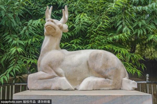 野趣十足!抓住假期尾巴!來家門口這些郊野公園溜達 野趣十足!抓住假期尾巴!來家門口這些郊野公園溜達