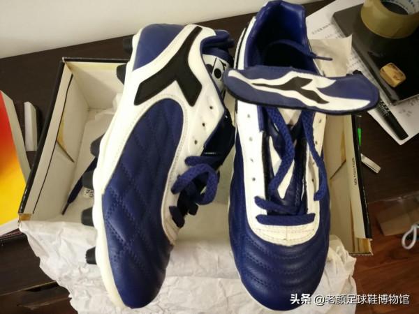 22歲兩奪歐冠，因荷蘭隊內訌失去皇馬主力位置，2400萬歐加盟國米