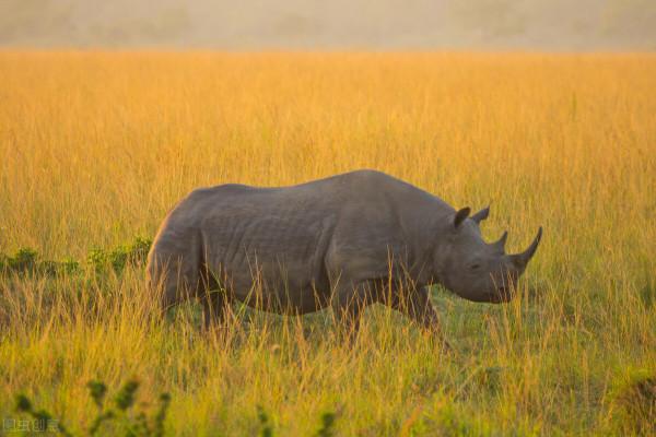 2021年度面孔|他們的故事,只有新冠病毒知道 2021年度面孔|他們的故事,只有新冠病毒知道