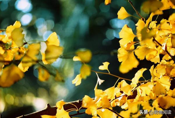 紅樓夢揭露的4個生存層次，你活在哪一層？