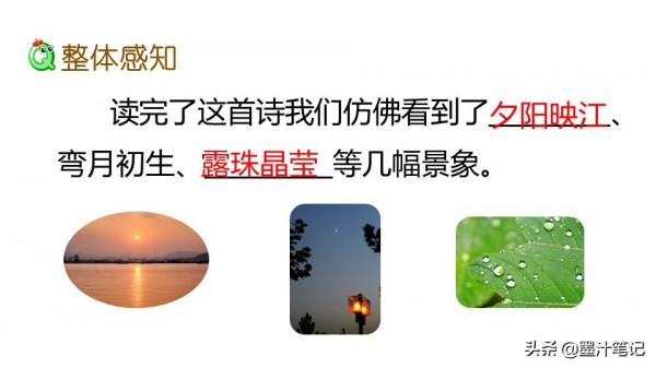 四年級語文上冊（人教版）第三單元《古詩三首》課文講析