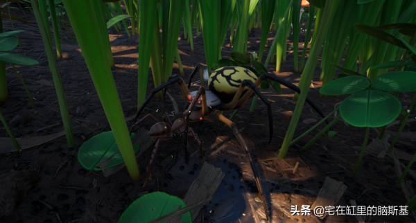 花園求生狩獵蜘蛛,《禁閉求生》告訴你縮小後有多快樂 花園求生狩獵蜘蛛,《禁閉求生》告訴你縮小後有多快樂