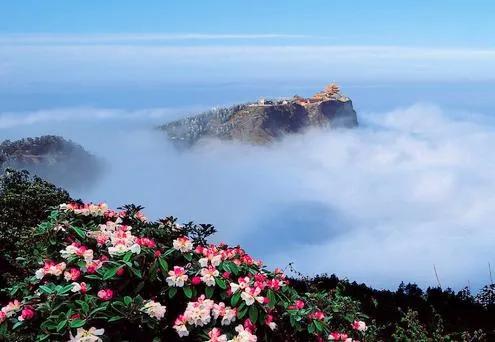 大美峨眉山 雲霧繚繞 仙氣飄飄