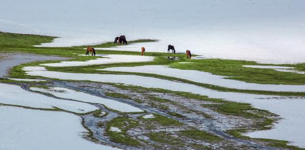 超出你想象的空中草原