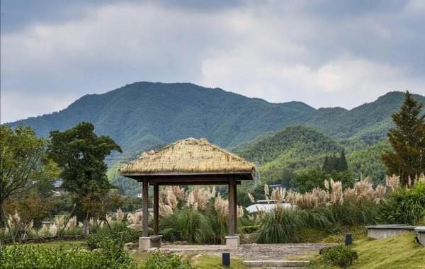 浙江省餘村：綠水青山就是金山銀山