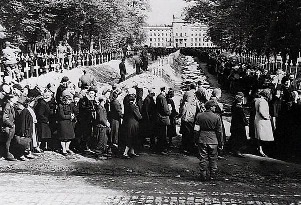 國中之國巴勒斯坦依靠什麼維持生存