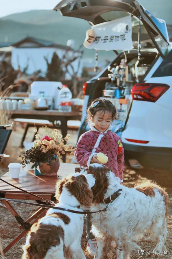 雪山下路邊移動咖啡館