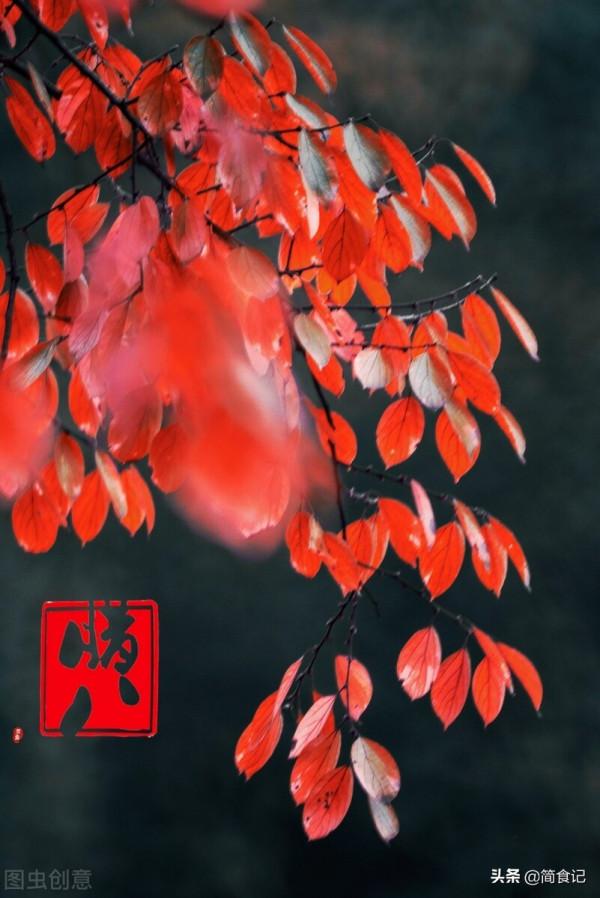 臘八節，別隻會喝臘八粥！這4大養生技巧要牢記，助你輕鬆過寒冬