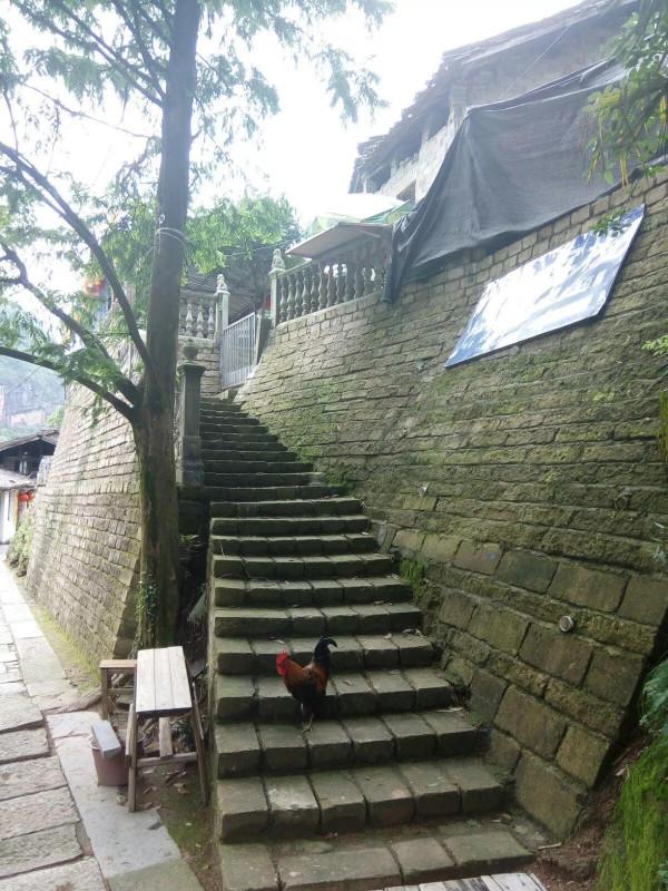 一個讓人流連忘返的旅遊度假聖地——龍虎山