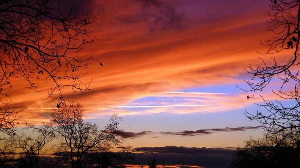 調節自己情緒的小技巧,情緒低落的時候,做這些事會好很多 調節自己情緒的小技巧,情緒低落的時候,做這些事會好很多