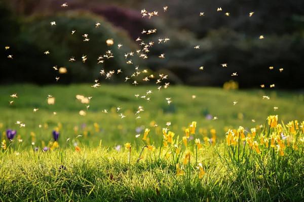 路寬不如心寬，命好不如人好