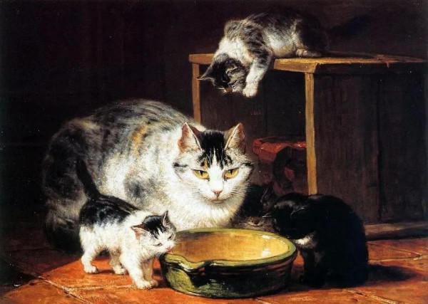 100年前她畫了超多貓，姿態萬千，惟妙惟肖