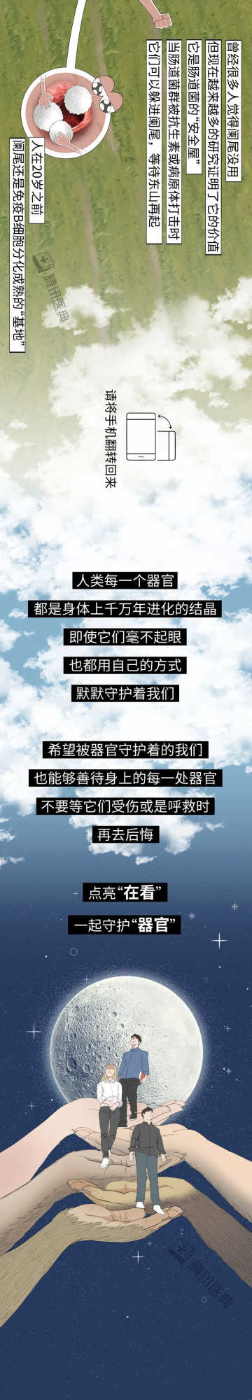 被你嫌棄的智齒、闌尾，其實在默默保護你......