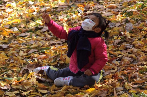 小雪日是誰打翻了大自然的調色盤讓張公湖初冬如此動人
