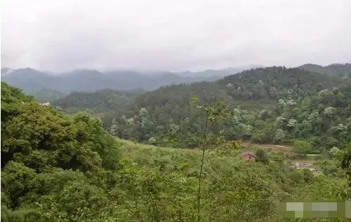 貢江夜讀：一個失散女紅軍的悲喜人生