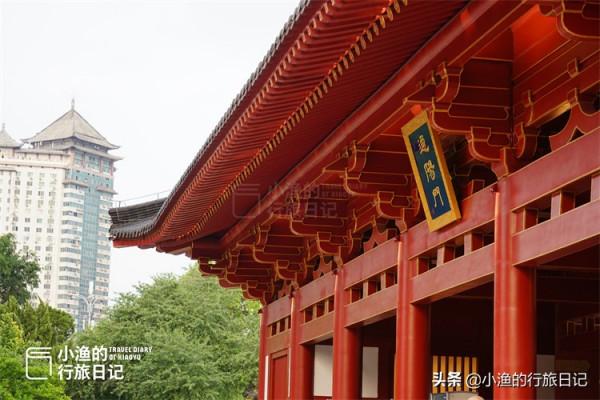 西安鬧市這片“荒地”,竟是唐朝長安城罕見的真實遺蹟,你知道嗎 西安鬧市這片“荒地”,竟是唐朝長安城罕見的真實遺蹟,你知道嗎