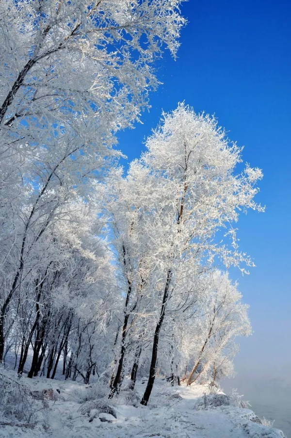 初雪已至,快來觀賞中國最美的雪景吧 初雪已至,快來觀賞中國最美的雪景吧