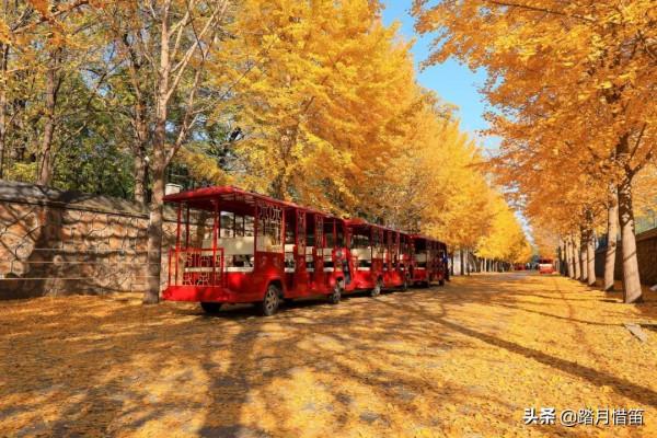 如果沒有疫情，此刻我勸你一定要去一趟北京...