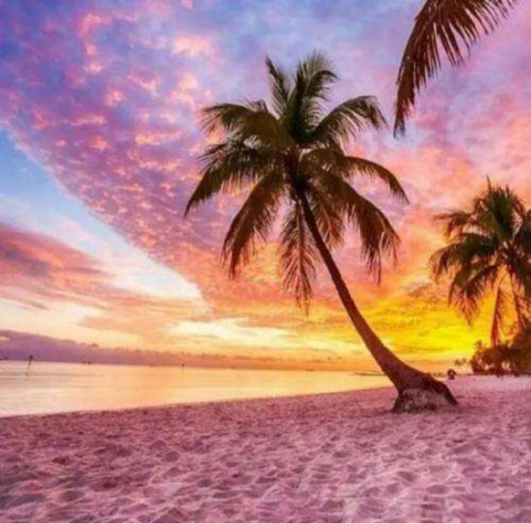 巴哈馬——一個靠“薅美國羊毛”富起來的黑人國家 巴哈馬——一個靠“薅美國羊毛”富起來的黑人國家