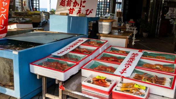 逛逛日本 &vert; 一券在手 遊走日本升龍道夢之旅