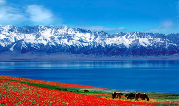 國內旅遊那些出名的打卡地