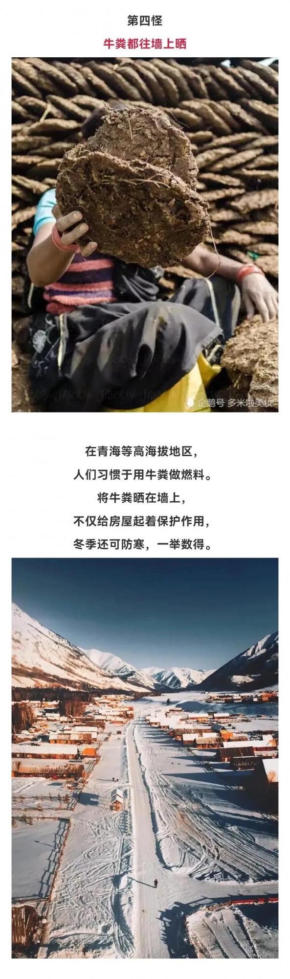 西北十四怪,有的怪可愛 西北十四怪,有的怪可愛