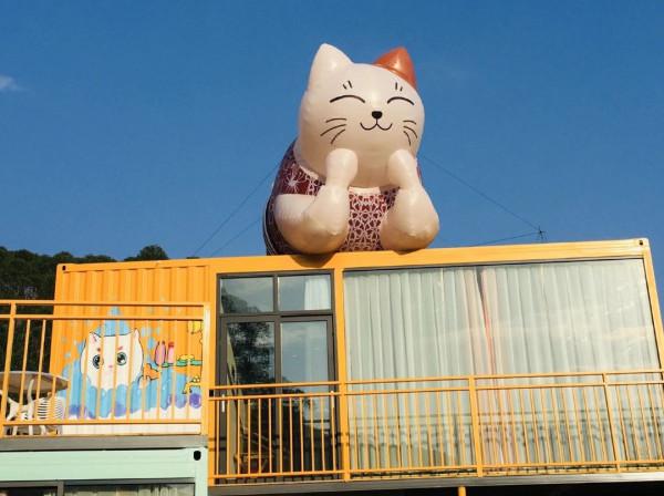 國慶去哪玩?廣東首個以萌貓為主題的景區,度假!擼貓!好開心 國慶去哪玩?廣東首個以萌貓為主題的景區,度假!擼貓!好開心