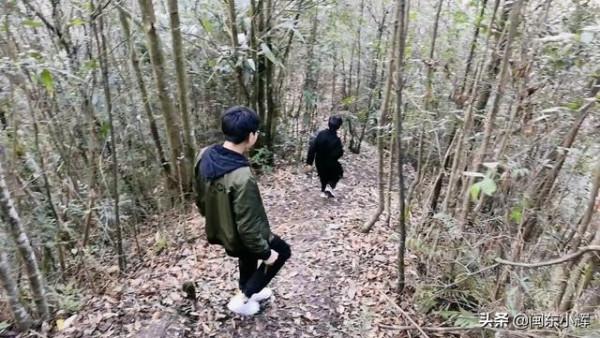 福建大山發現天然蘑菇石,外觀酷似“大力神杯”,在網上引起熱議 福建大山發現天然蘑菇石,外觀酷似“大力神杯”,在網上引起熱議