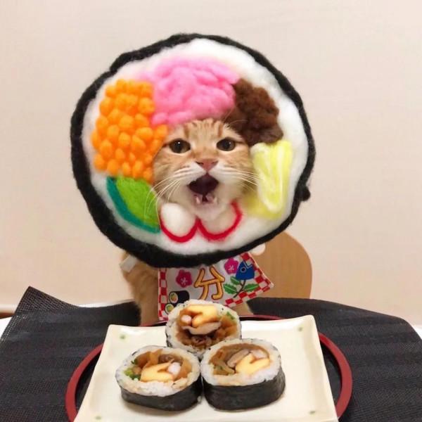 日本一鏟屎官把貓咪打扮成食物！網友：太可愛了！忍不住想吃掉