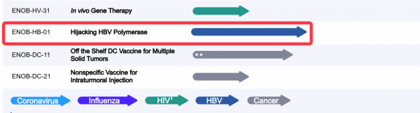 乙肝兩家研究藥企,本月中下旬,將更新VTP-300和ENOB-HB-01進展 乙肝兩家研究藥企,本月中下旬,將更新VTP-300和ENOB-HB-01進展