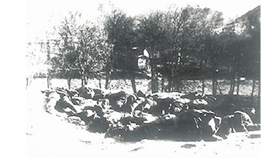 1988年10月1日,臨澤縣城盛大集會,16輛車裝載1000具西路軍遺骨 1988年10月1日,臨澤縣城盛大集會,16輛車裝載1000具西路軍遺骨