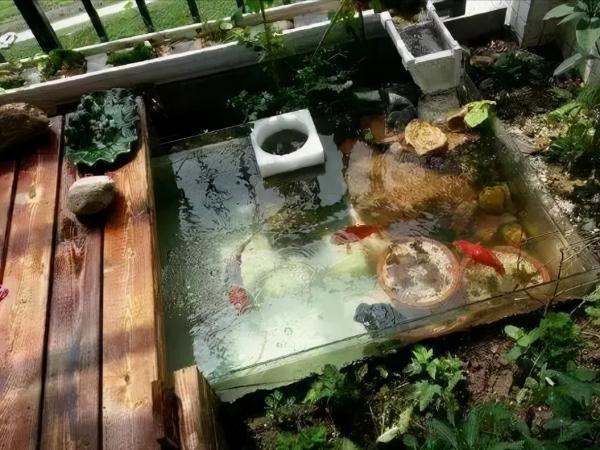 小型室內假山魚池製作步驟分享